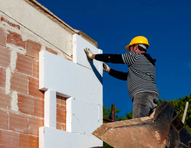 Professional Insulation Contractor in Lakeport, TX