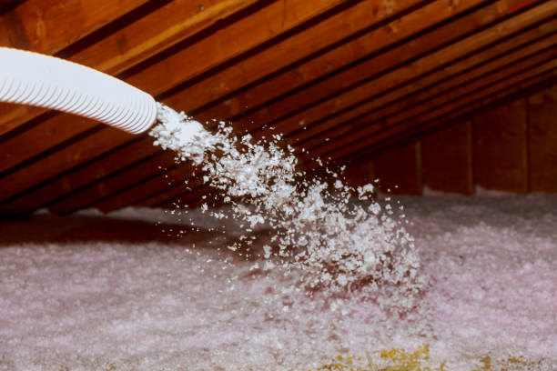 Best Spray Foam Insulation  in Lakeport, TX