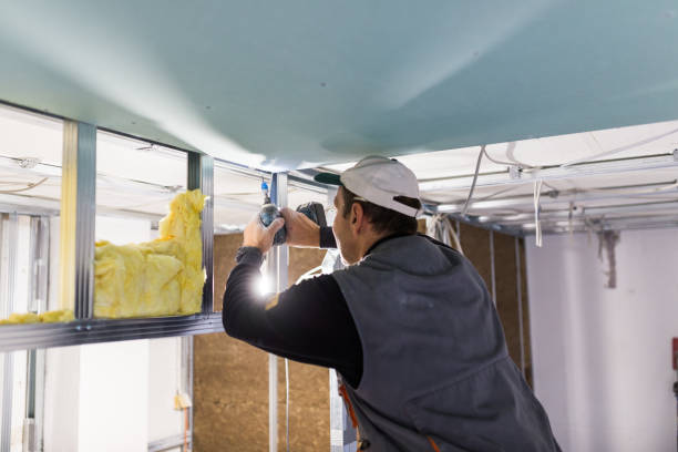 Best Spray Foam Insulation  in Lakeport, TX